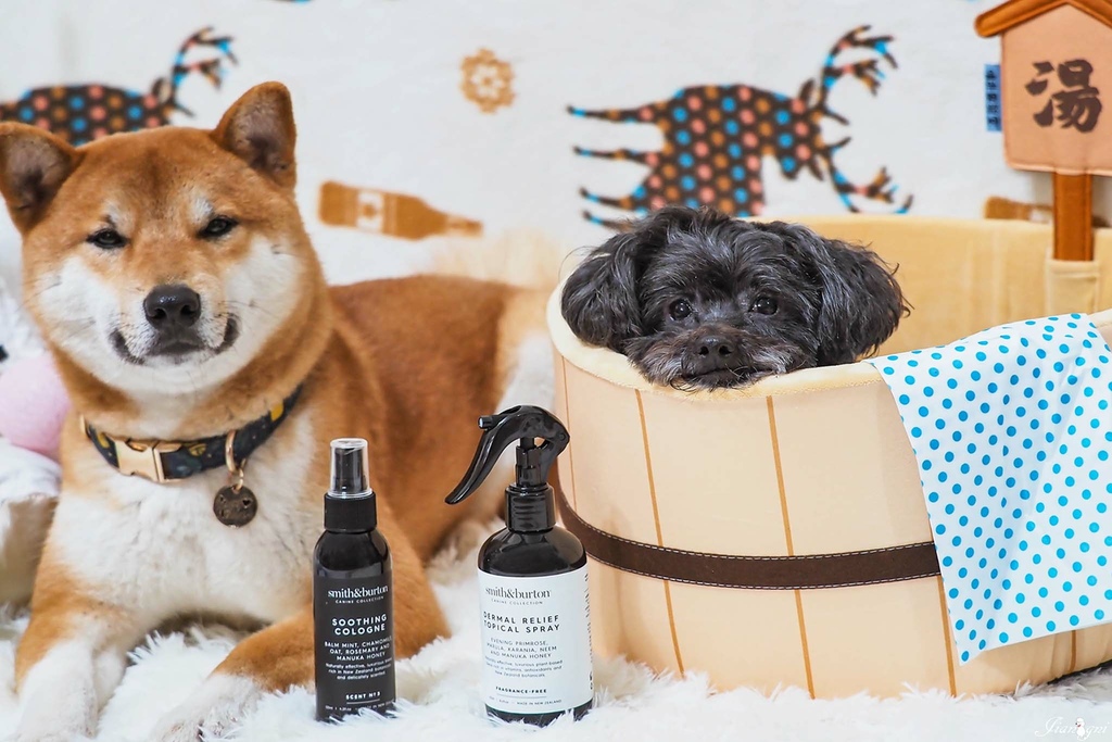 smith burton寵物洗毛精天然低敏22.jpg smith burton寵物洗毛精天然低敏22.jpg