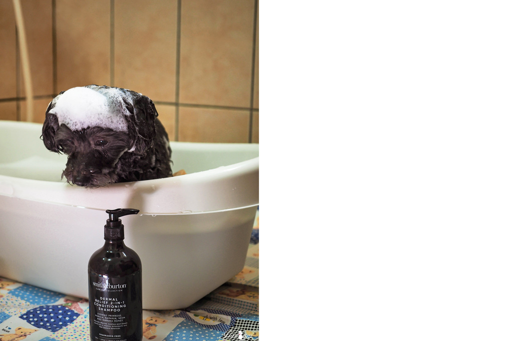 smith burton寵物洗毛精天然低敏3.jpg smith burton寵物洗毛精天然低敏3.jpg