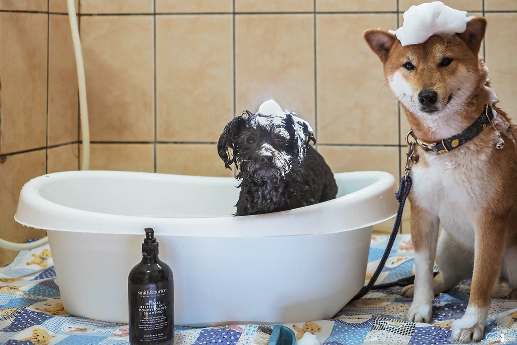 smith burton寵物洗毛精天然低敏5.jpg smith burton寵物洗毛精天然低敏5.jpg