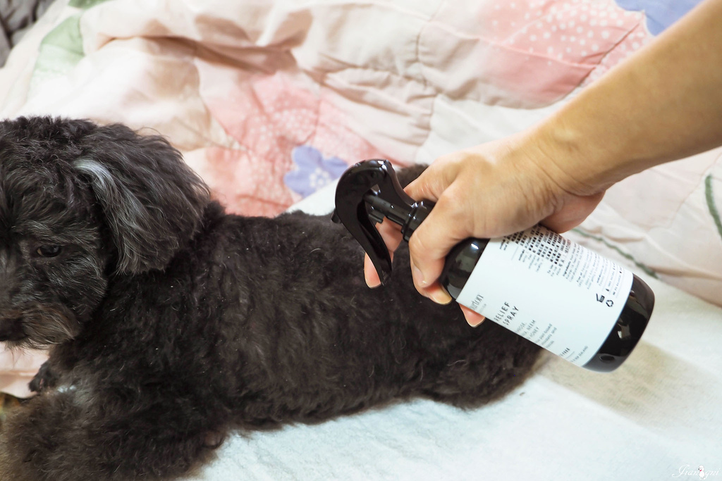 smith burton寵物洗毛精天然低敏8.jpg smith burton寵物洗毛精天然低敏8.jpg