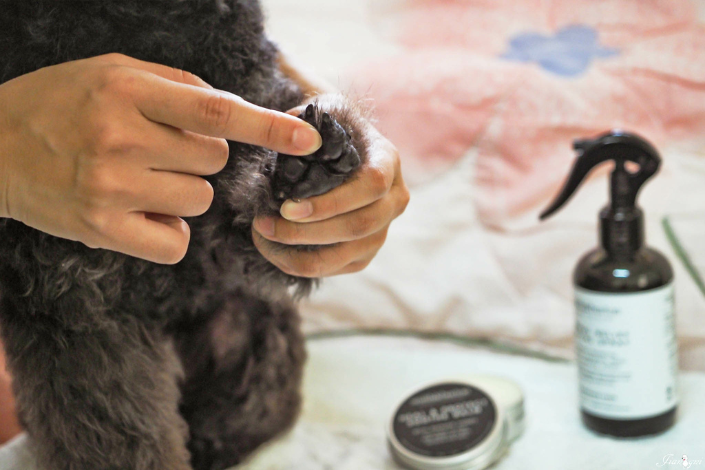 smith burton寵物洗毛精天然低敏14.jpg smith burton寵物洗毛精天然低敏14.jpg