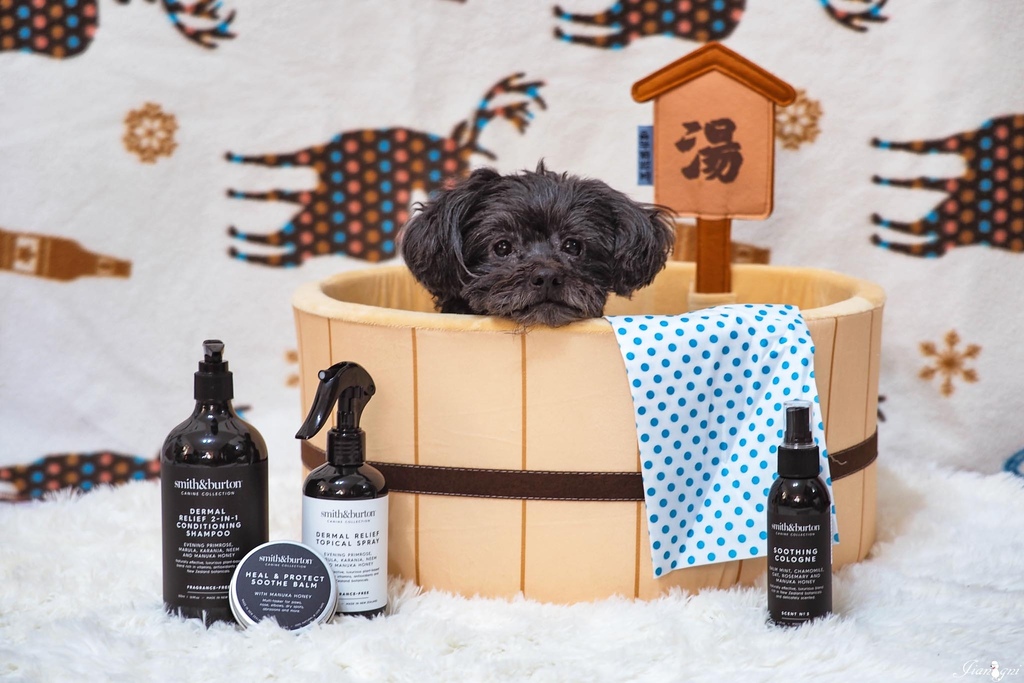 smith burton寵物洗毛精天然低敏16.jpg smith burton寵物洗毛精天然低敏16.jpg