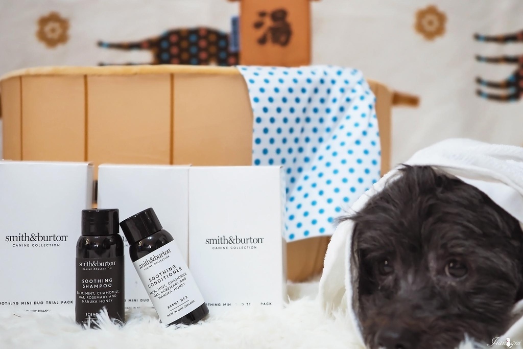 smith burton寵物洗毛精天然低敏19.jpg smith burton寵物洗毛精天然低敏19.jpg