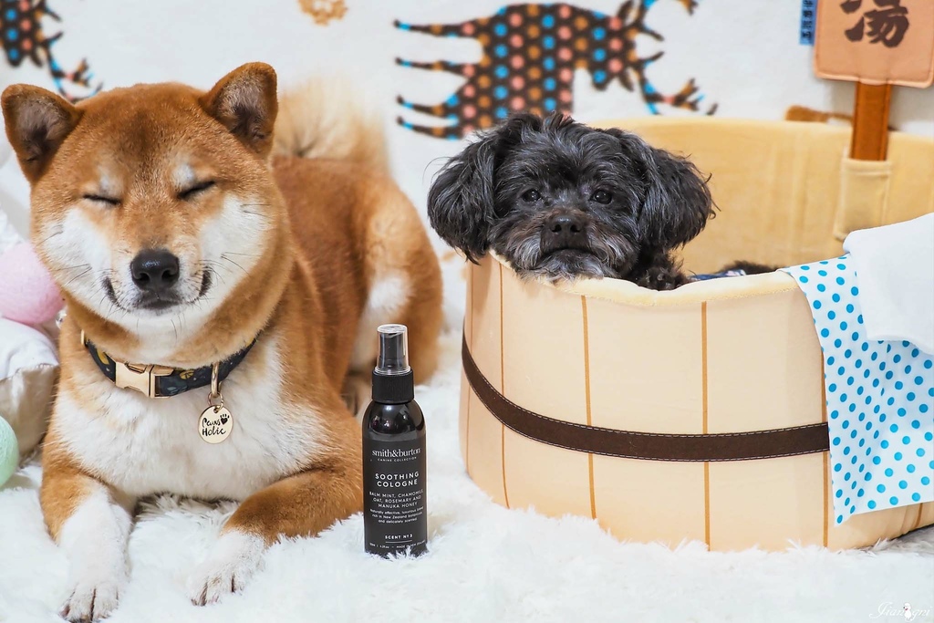 smith burton寵物洗毛精天然低敏21.jpg smith burton寵物洗毛精天然低敏21.jpg