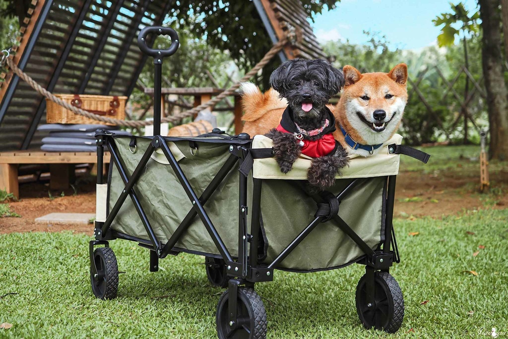 露營推車寵物推車蛋捲桌摺疊桌6-1.jpg 露營推車寵物推車蛋捲桌摺疊桌6-1.jpg
