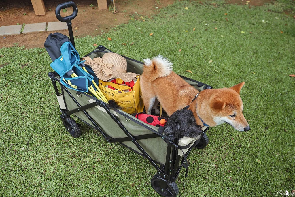 露營推車寵物推車蛋捲桌摺疊桌5.jpg 露營推車寵物推車蛋捲桌摺疊桌5.jpg
