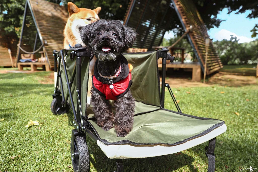 露營推車寵物推車蛋捲桌摺疊桌7-1.jpg