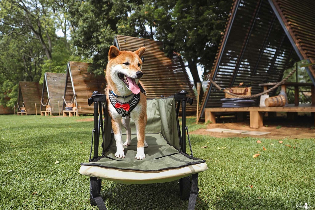 露營推車寵物推車蛋捲桌摺疊桌1.jpg 露營推車寵物推車蛋捲桌摺疊桌1.jpg