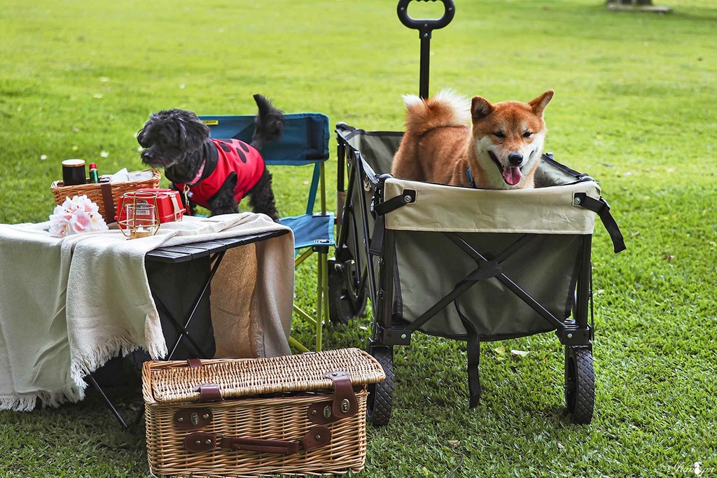 露營推車寵物推車蛋捲桌摺疊桌17.jpg 露營推車寵物推車蛋捲桌摺疊桌17.jpg