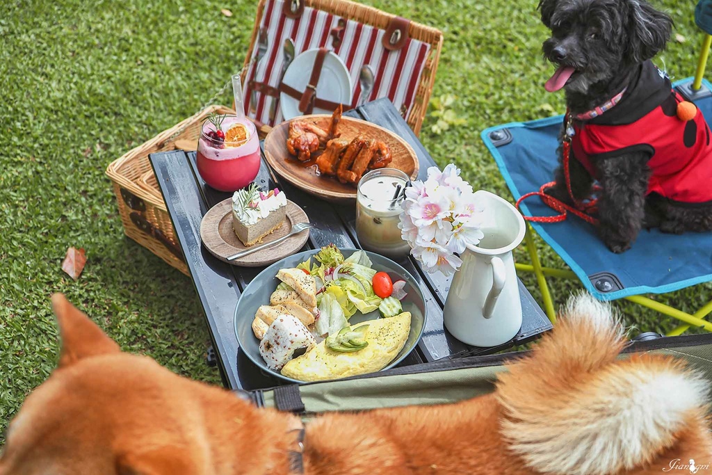 露營推車寵物推車蛋捲桌摺疊桌19.jpg 露營推車寵物推車蛋捲桌摺疊桌19.jpg
