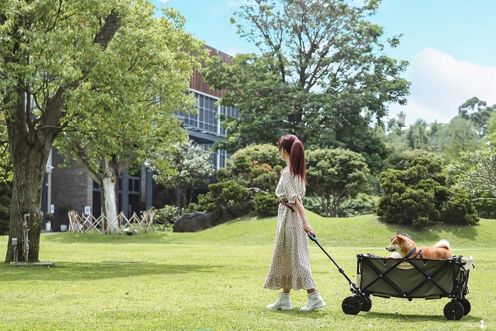 露營推車寵物推車蛋捲桌摺疊桌23.jpg 露營推車寵物推車蛋捲桌摺疊桌23.jpg