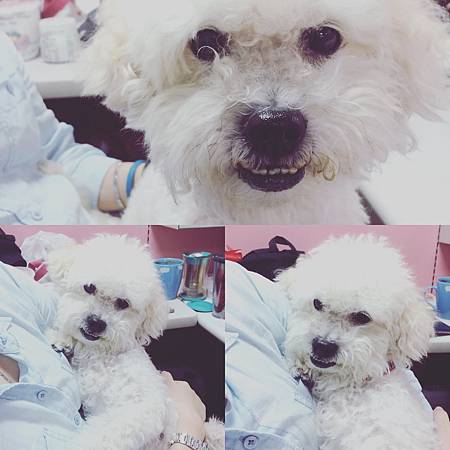 IMG_2345.JPG IMG_2345.JPG