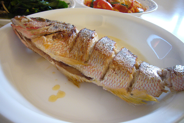 pan-fried snapper