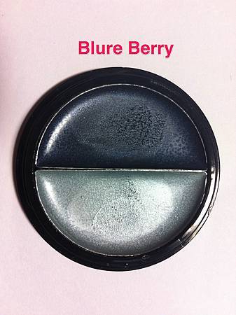 Blue berry 7.jpg