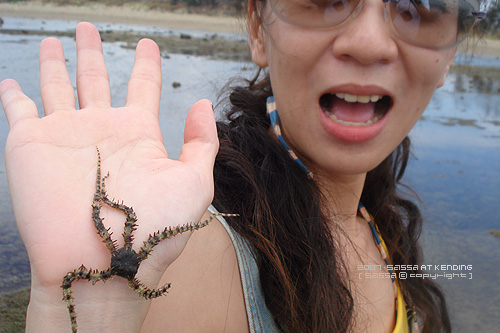 好愛這個海星壓。陽遂足