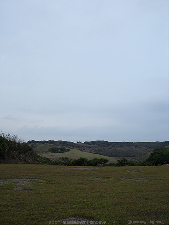 埔頂路裡的大草原
