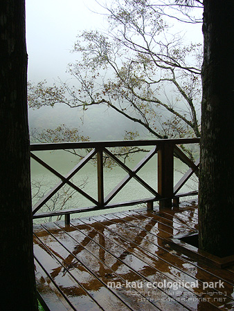 湖畔木棧道。雨好大窩