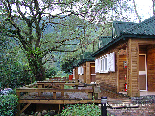 棲蘭山莊。林間小屋