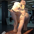機場滴大象