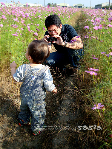 小柚子第一次下田賞花兒