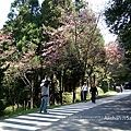 阿里山遊樂區