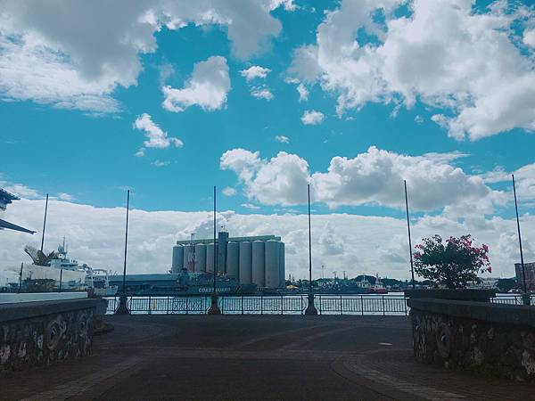 IMG_6145.JPG IMG_6145.JPG