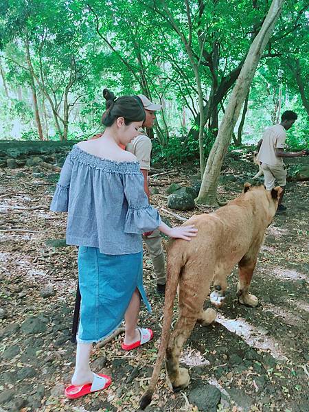 IMG_6425.JPG IMG_6425.JPG