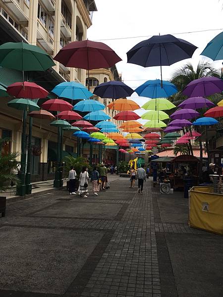 IMG_6808.JPG IMG_6808.JPG