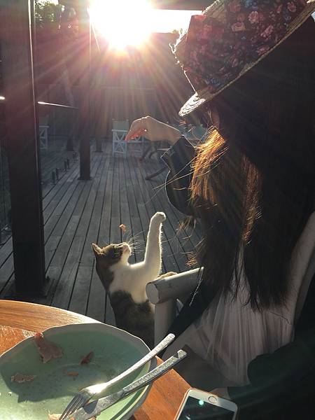 IMG_6812.JPG IMG_6812.JPG