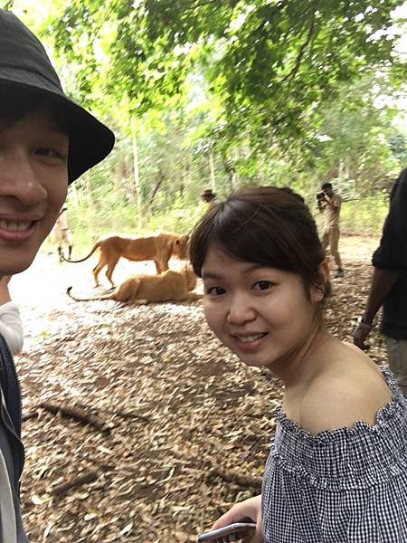 IMG_6813.JPG IMG_6813.JPG