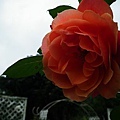 20110223 084(001).jpg