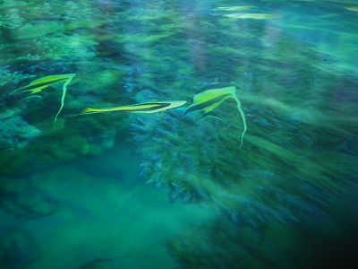 20101120 072(001).jpg