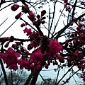 20110209 102(001).jpg