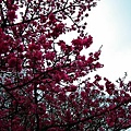 20110209 087(001).jpg