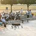 DSCF0215(001).jpg