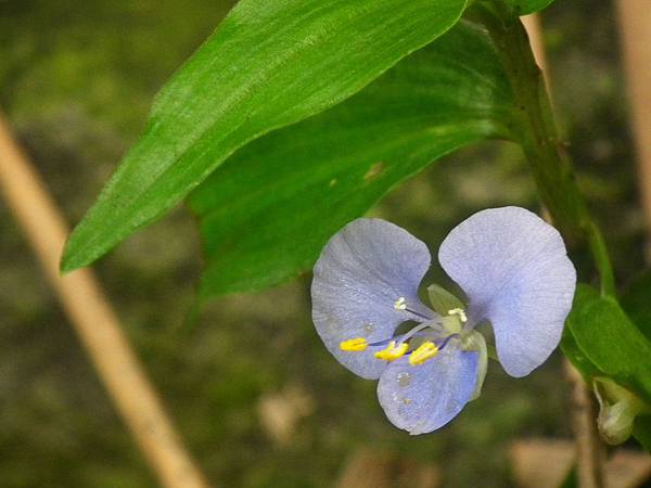 20111103 011(001).jpg