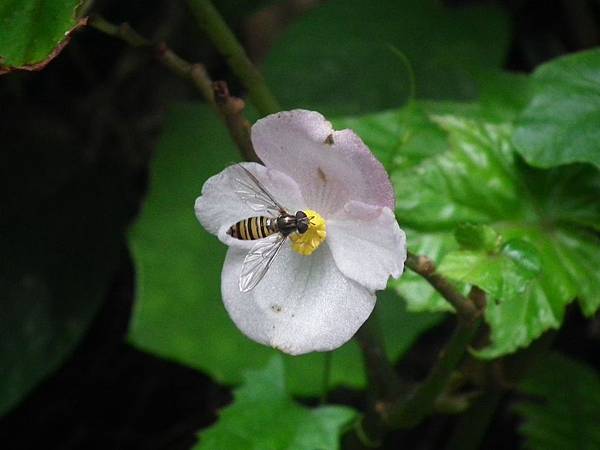 20111103 023(001).jpg