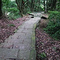 20111103 085(001).jpg