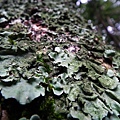 20111103 093(001).jpg