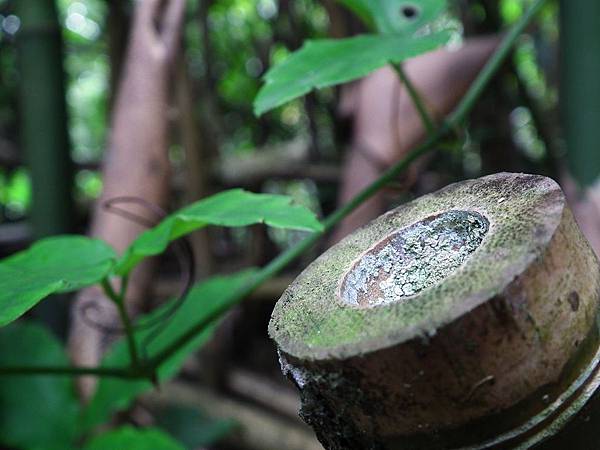 20111103 097(001).jpg