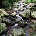 20111103 116(001).jpg