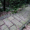 20111103 125(001).jpg