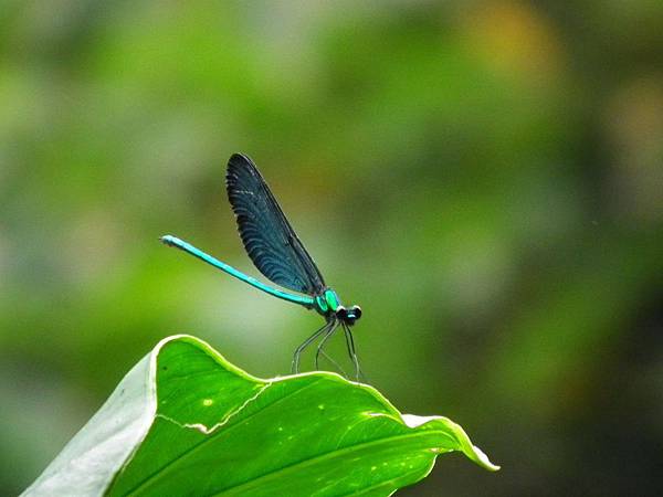 20111103 164(001).jpg