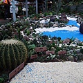 20101120 033(001).jpg