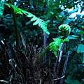 20110209 001(001).jpg