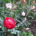 20110223 060(001).jpg