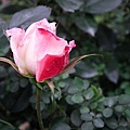 20110223 031(001).jpg