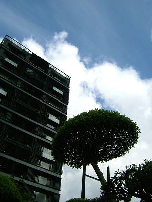 20080911 030(001).jpg