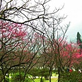 20110209 108(001).jpg