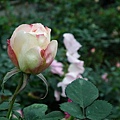20110223 065(001).jpg
